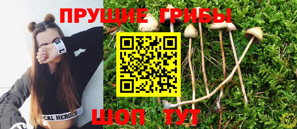 Протвино  купить наркотики цена  Вход с VPN  Галлюциногенные грибы Magic Shrooms 